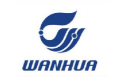 Wanhua 万华